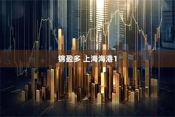 锦盈多 上海海港1
