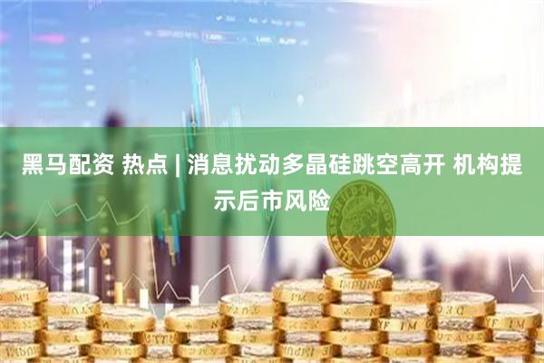 黑马配资 热点 | 消息扰动多晶硅跳空高开 机构提示后市风险